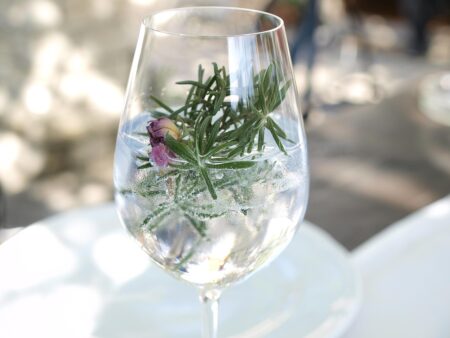 Gin Tonic